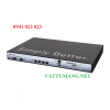 Bộ điều khiển WiFi RUCKUS SmartZone 100
